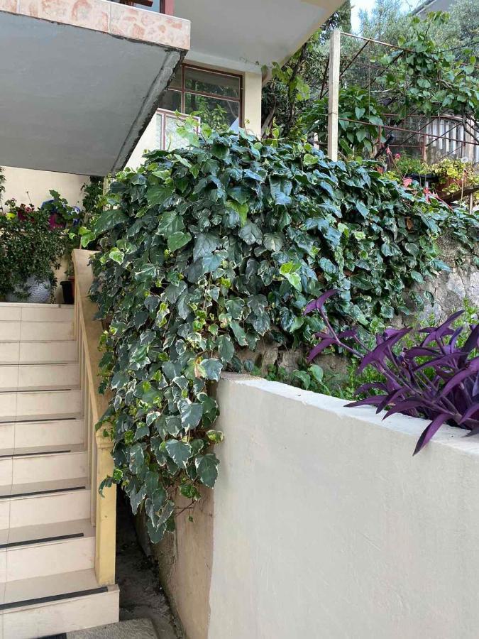 Apartments Vucinovic Tivat Ngoại thất bức ảnh