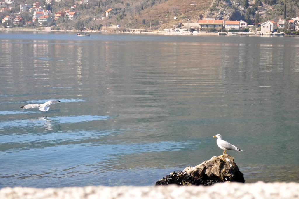 Apartments Vucinovic Tivat Ngoại thất bức ảnh