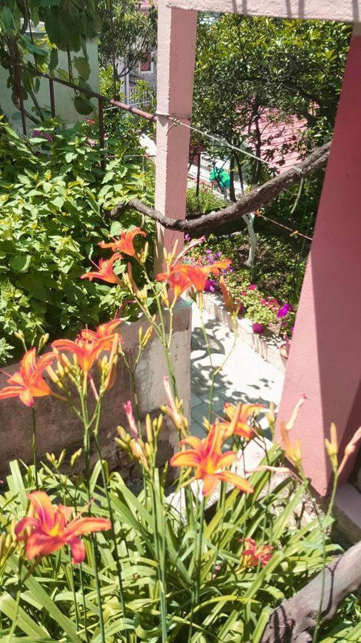 Apartments Vucinovic Tivat Ngoại thất bức ảnh